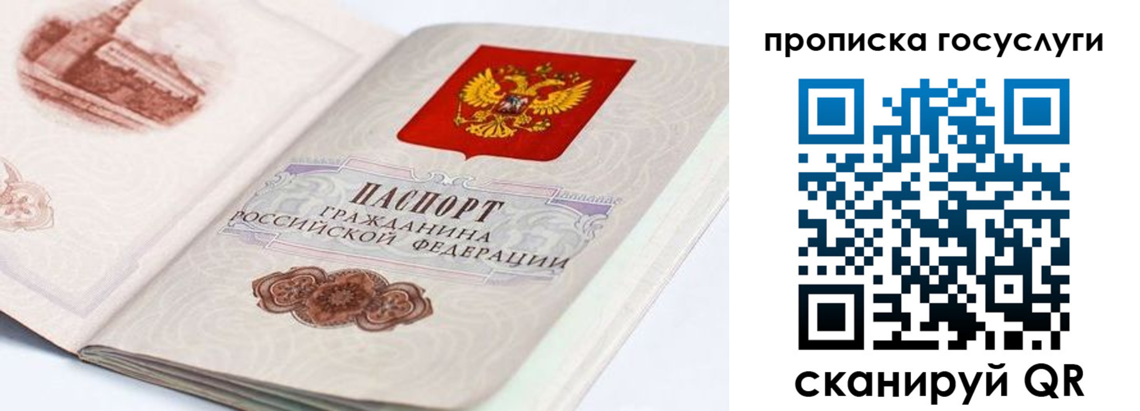 прописка гарантия в Вытегре